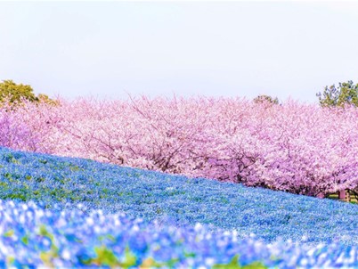 Fukuoka Prefecture Tourism Federation