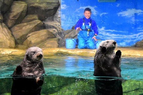 Fukuoka City Official Tourist Guide