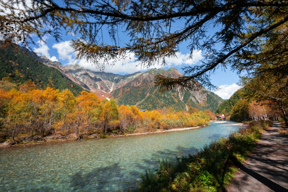 river-pine-forest-tree-hiking-kamikochi-japan