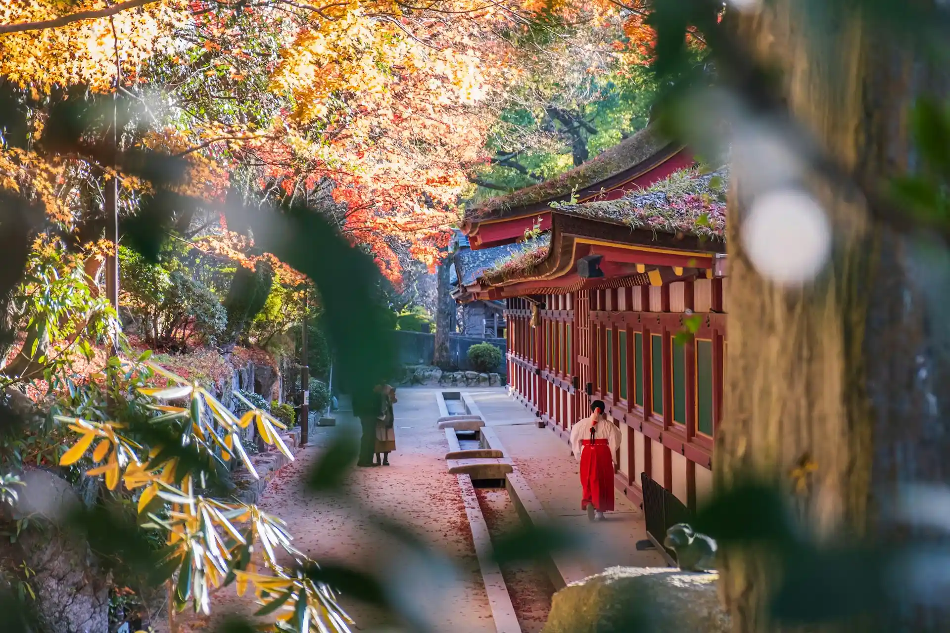  Dazaifu Tenmangu Shrine, Fukuoka